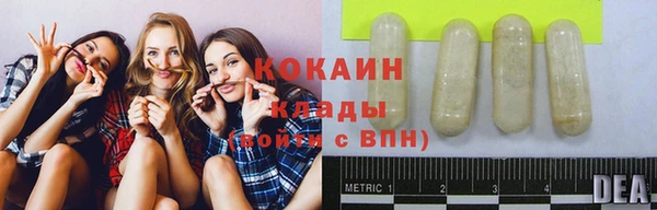 гашик Алзамай